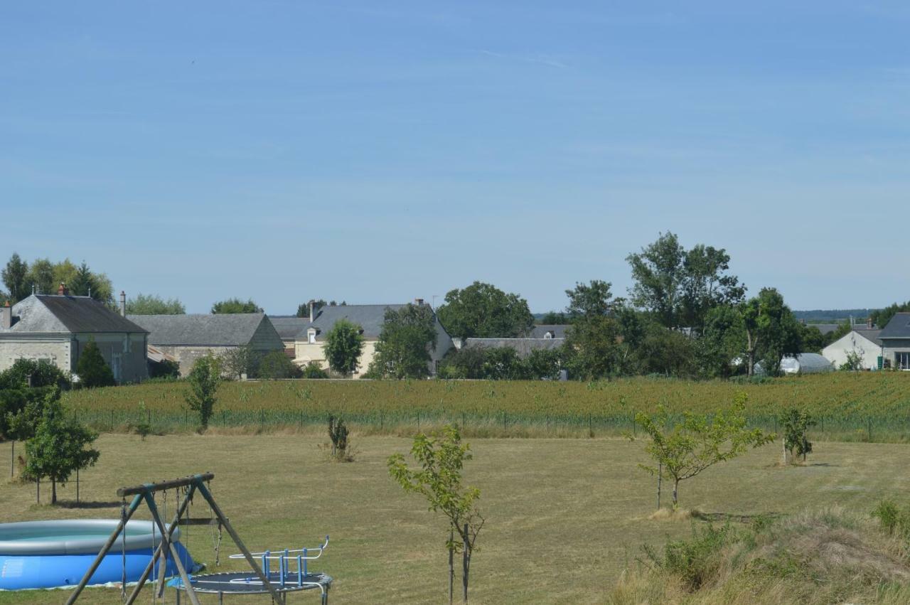 Gite Dans Le Vignoble De Bourgueil Le Port Boulet Екстериор снимка