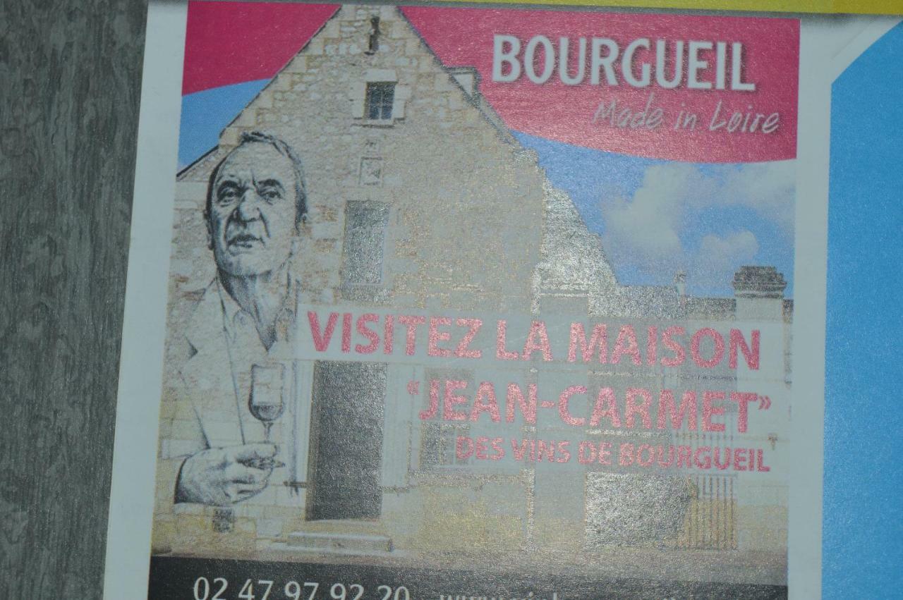 Gite Dans Le Vignoble De Bourgueil Le Port Boulet Екстериор снимка