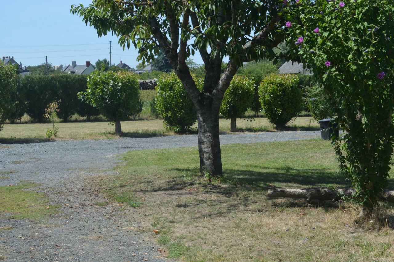 Gite Dans Le Vignoble De Bourgueil Le Port Boulet Екстериор снимка